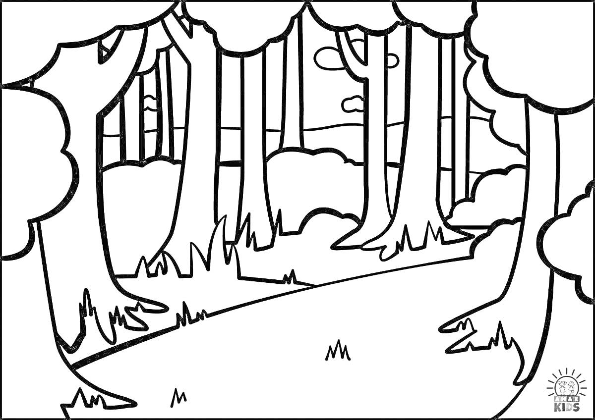 На раскраске изображено: Лес, Деревья, Кусты, Дорожка, Природа, Для детей, 4-5 лет