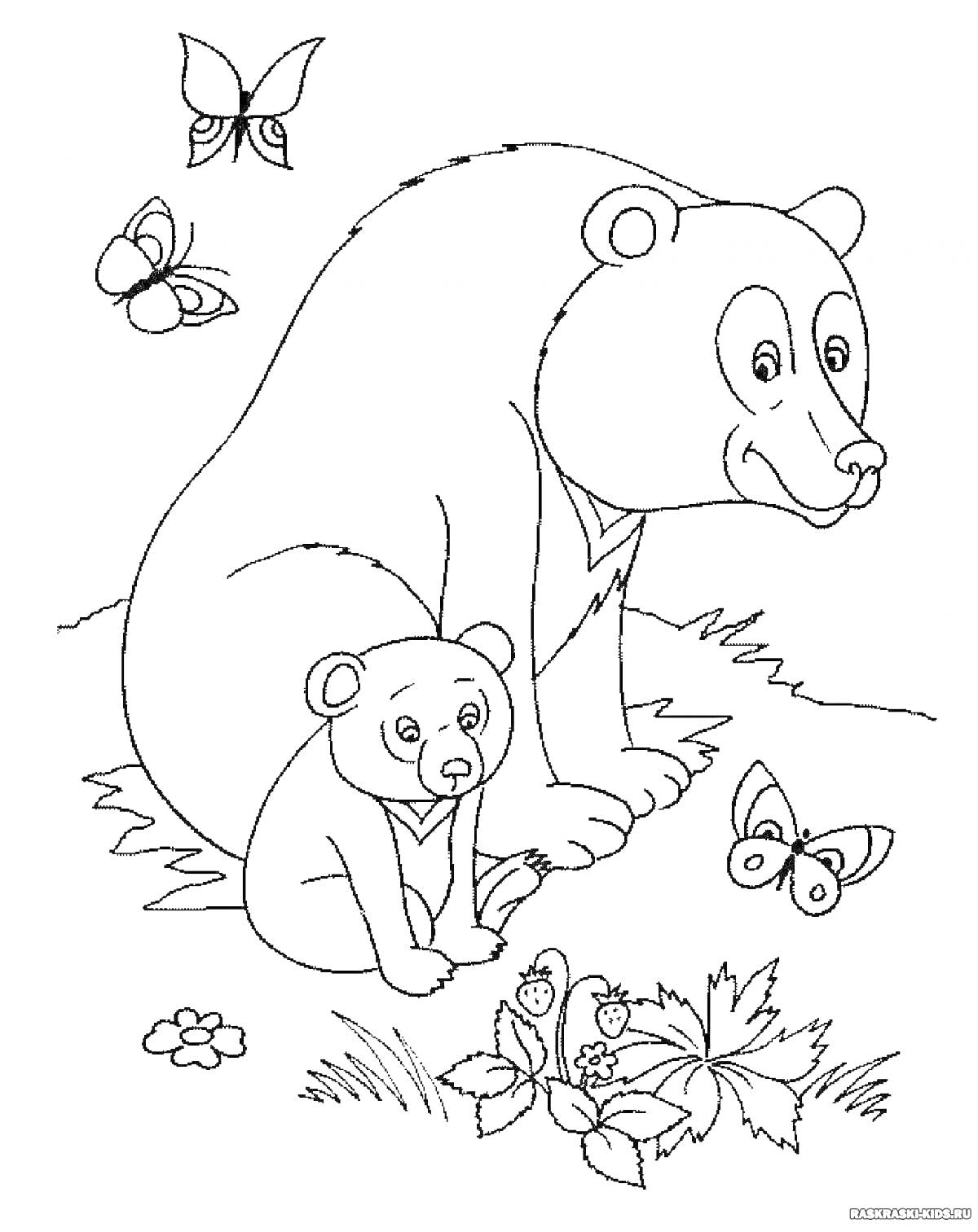 На раскраске изображено: Ягоды, Цветы, Природа, Лес, Медведь