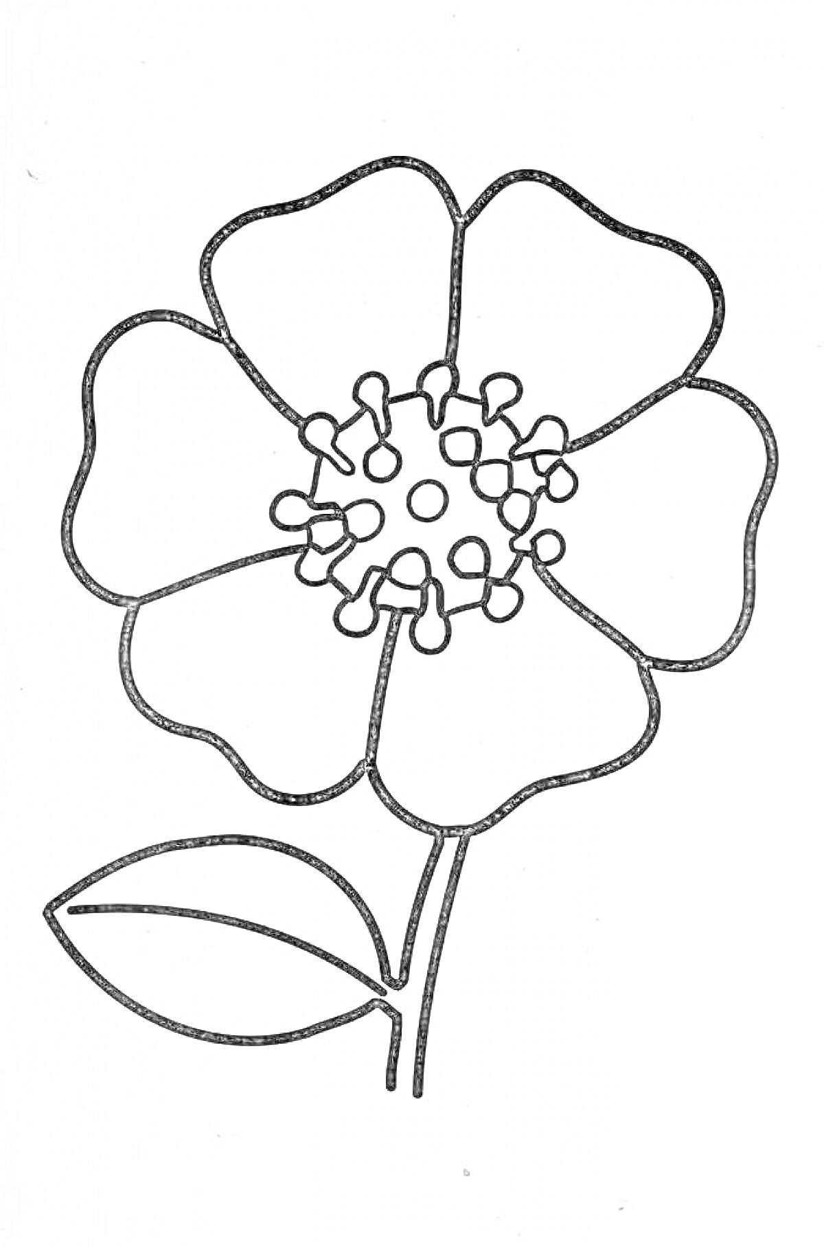 Раскраска Рисунок мака с одним цветком и листом