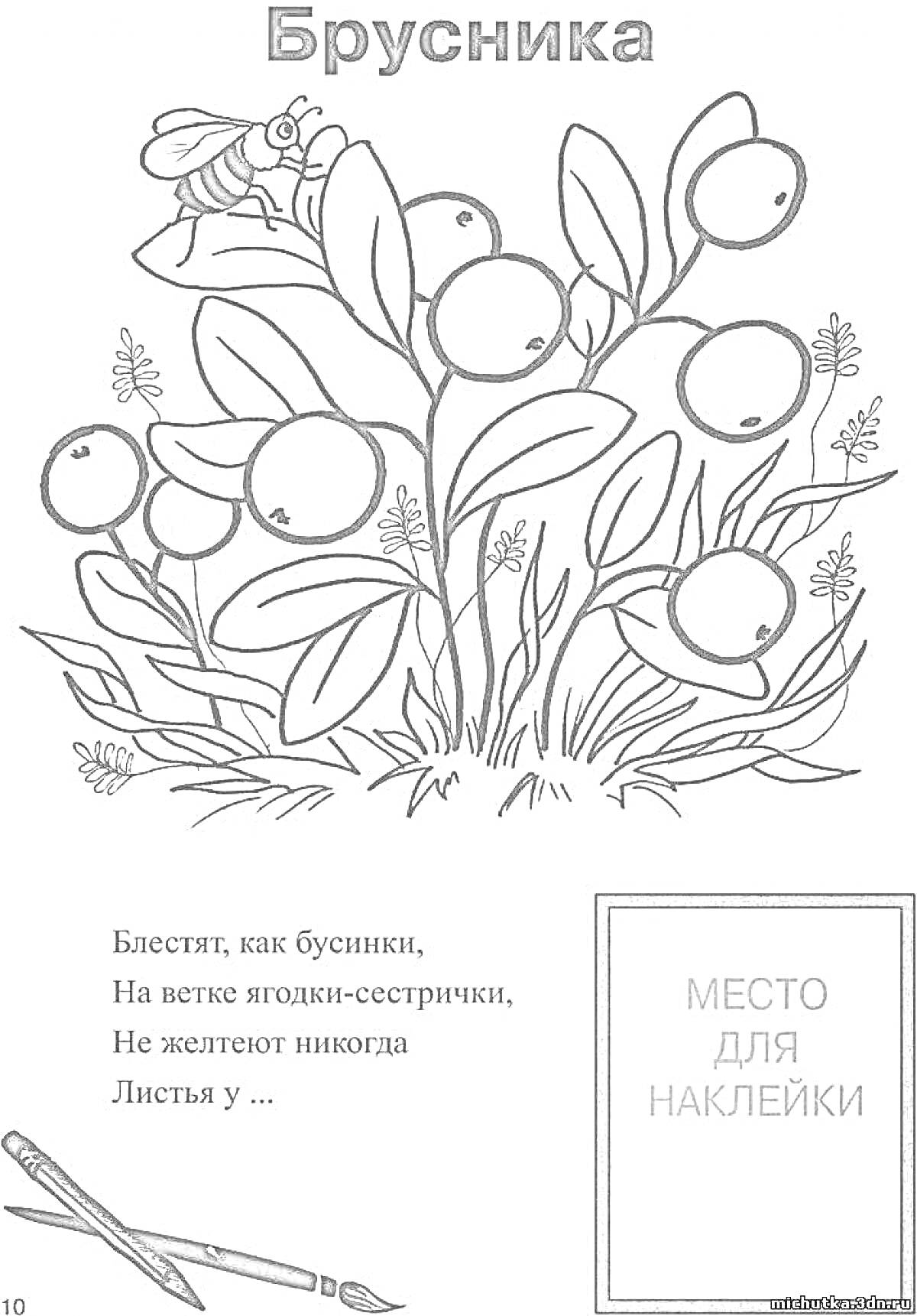 На раскраске изображено: Брусника, Ягоды, Листья, Природа, Ботаника, Стихотворение