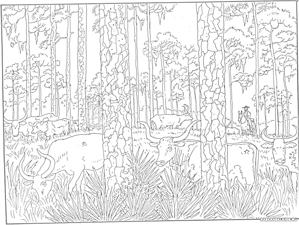 На раскраске изображено: Сосновый лес, Деревья, Сад, Утро, Пастбище, Всадник, Природа, Животные