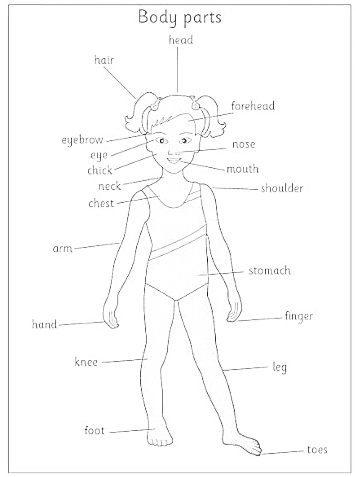 Раскраска Части тела на английском для детей (с указанием частей: hair, head, forehead, eyebrow, eye, nose, chick, mouth, neck, chest, shoulder, arm, hand, finger, stomach, knee, leg, foot, toes).