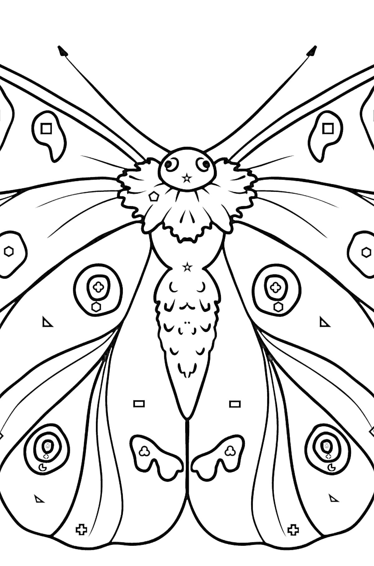 Раскраска Бабочка Аполлон с рисунком крыльев и телом