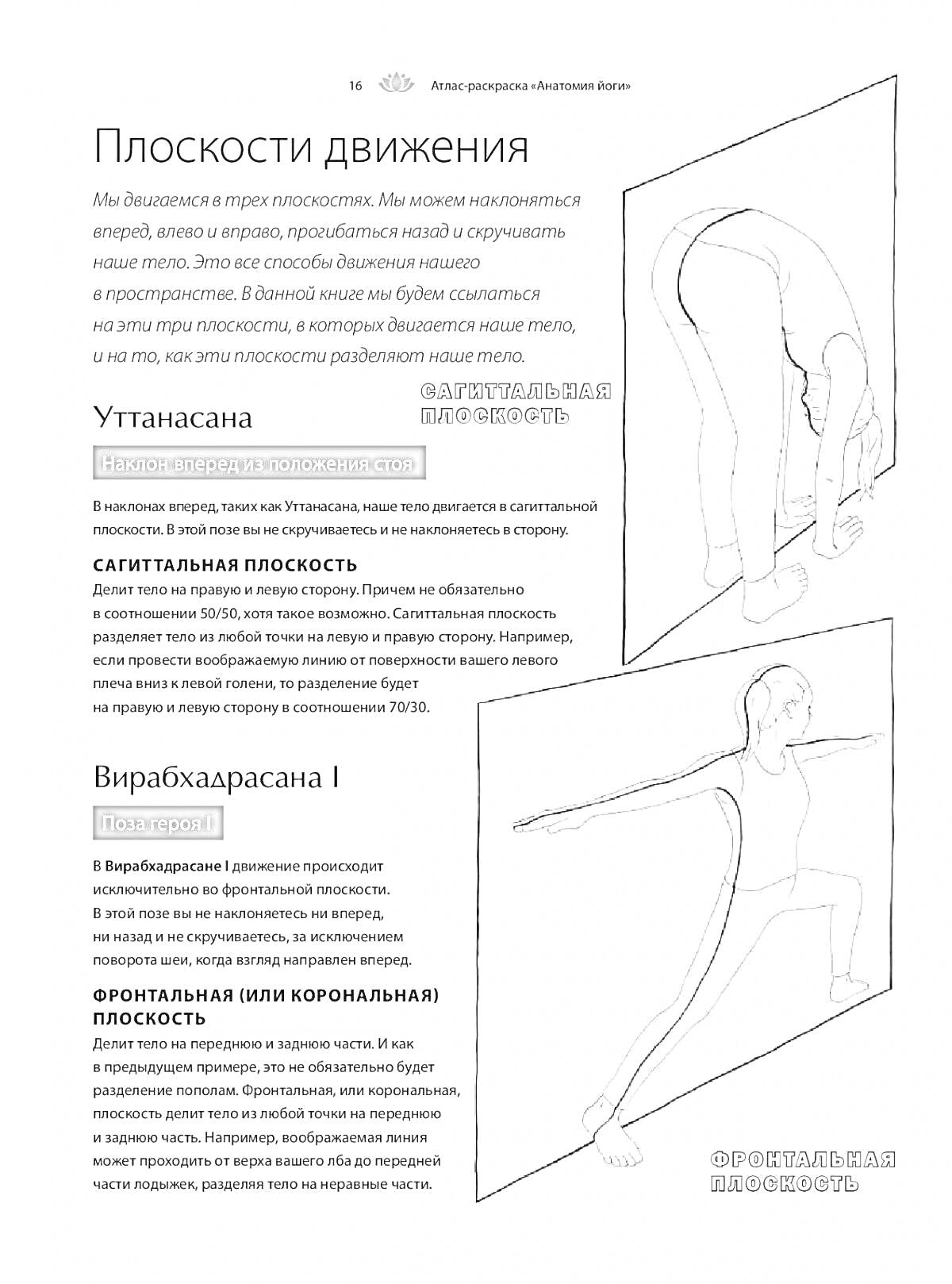 На раскраске изображено: Анатомия, Йога, Инструкции, Упражнения