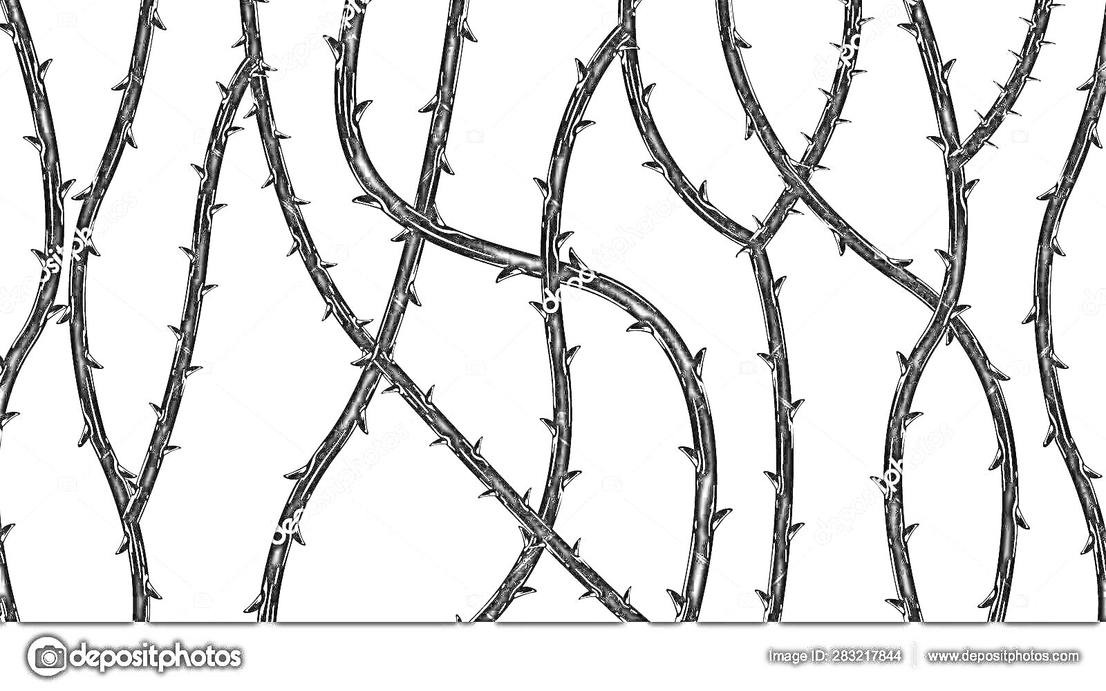 Раскраска Линии перекрещивающихся колючек черного цвета на светлом фоне