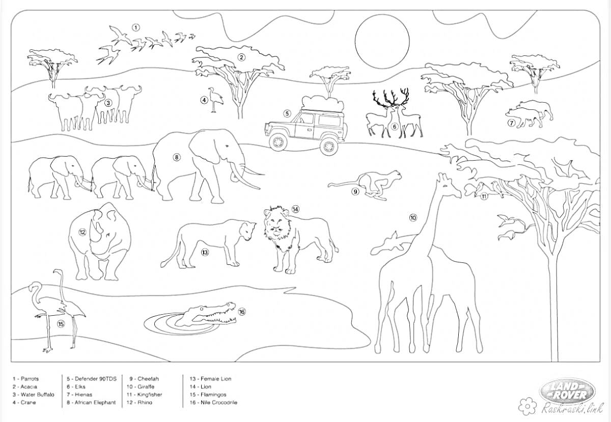 На раскраске изображено: Африканское сафари, Животные, Антилопы, Носорог, Лев, Крокодил, Жирафы, Солнце, Природа