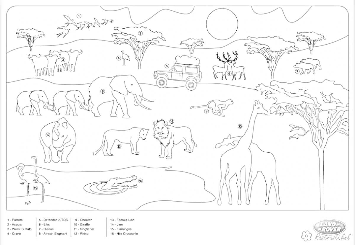 Раскраска Плакат африканское сафари с изображениями животных, растений, машины и солнца