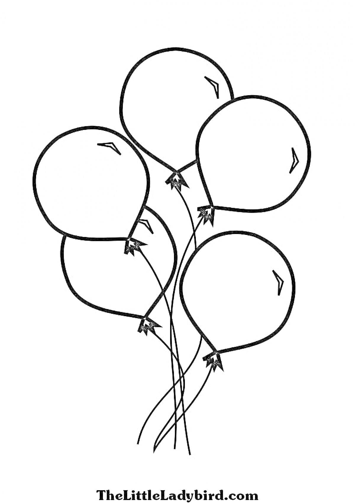 Раскраска Полет воздушных шаров - пять воздушных шариков с хвостиками