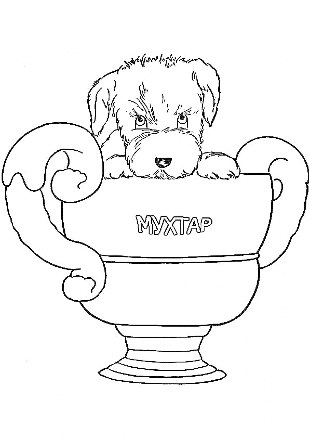 На раскраске изображено: Кубок, Собака, Щенки