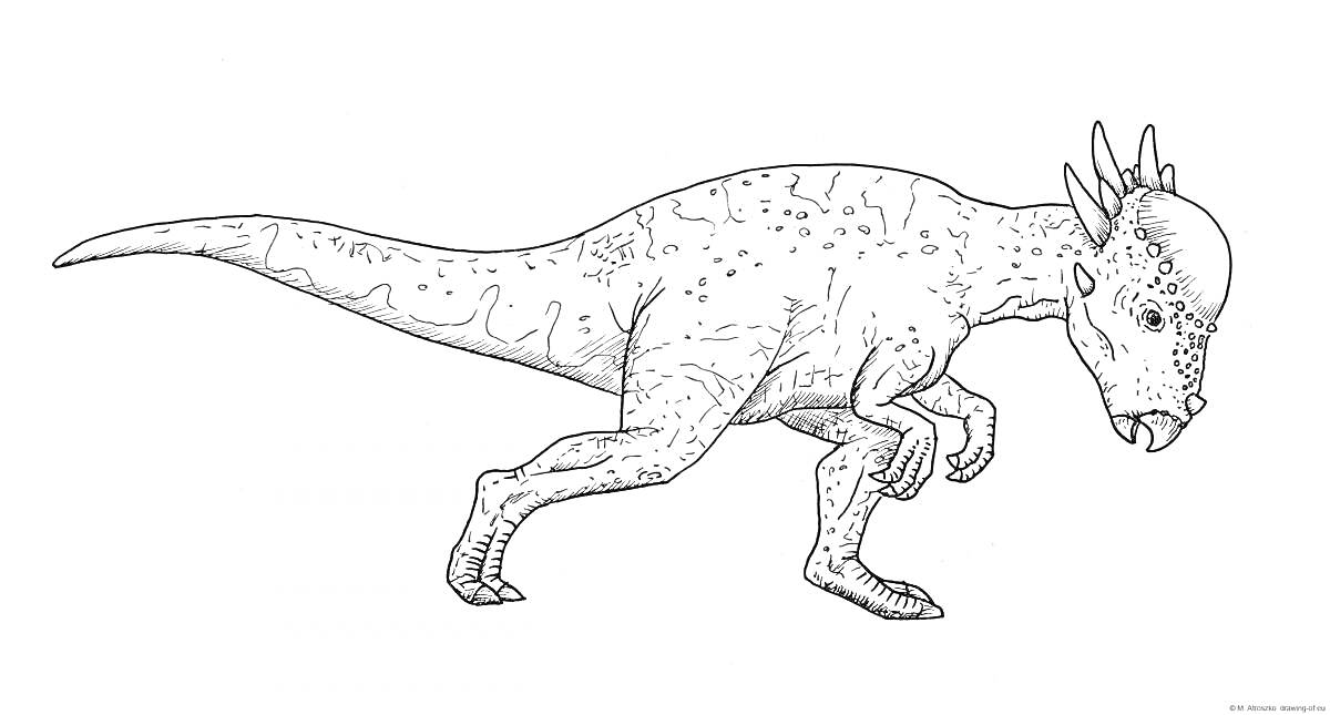 Раскраска Пахицефалозавр в сторону на белом фоне
