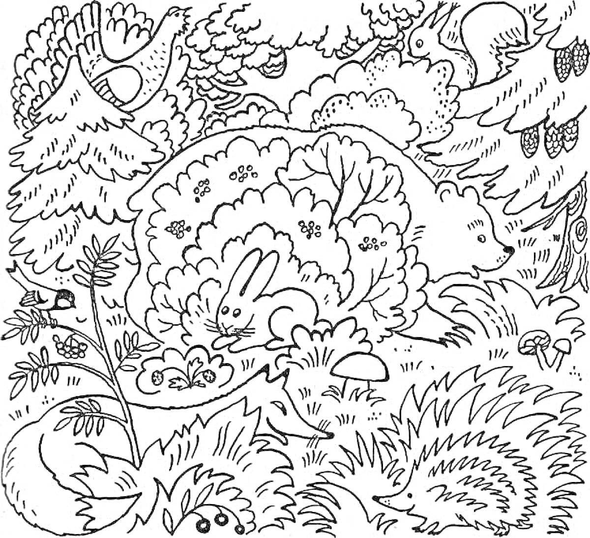 Раскраска Лесная сцена с зайцем, медведем, ежом, лисицей, белкой, птицами, деревьями и кустами