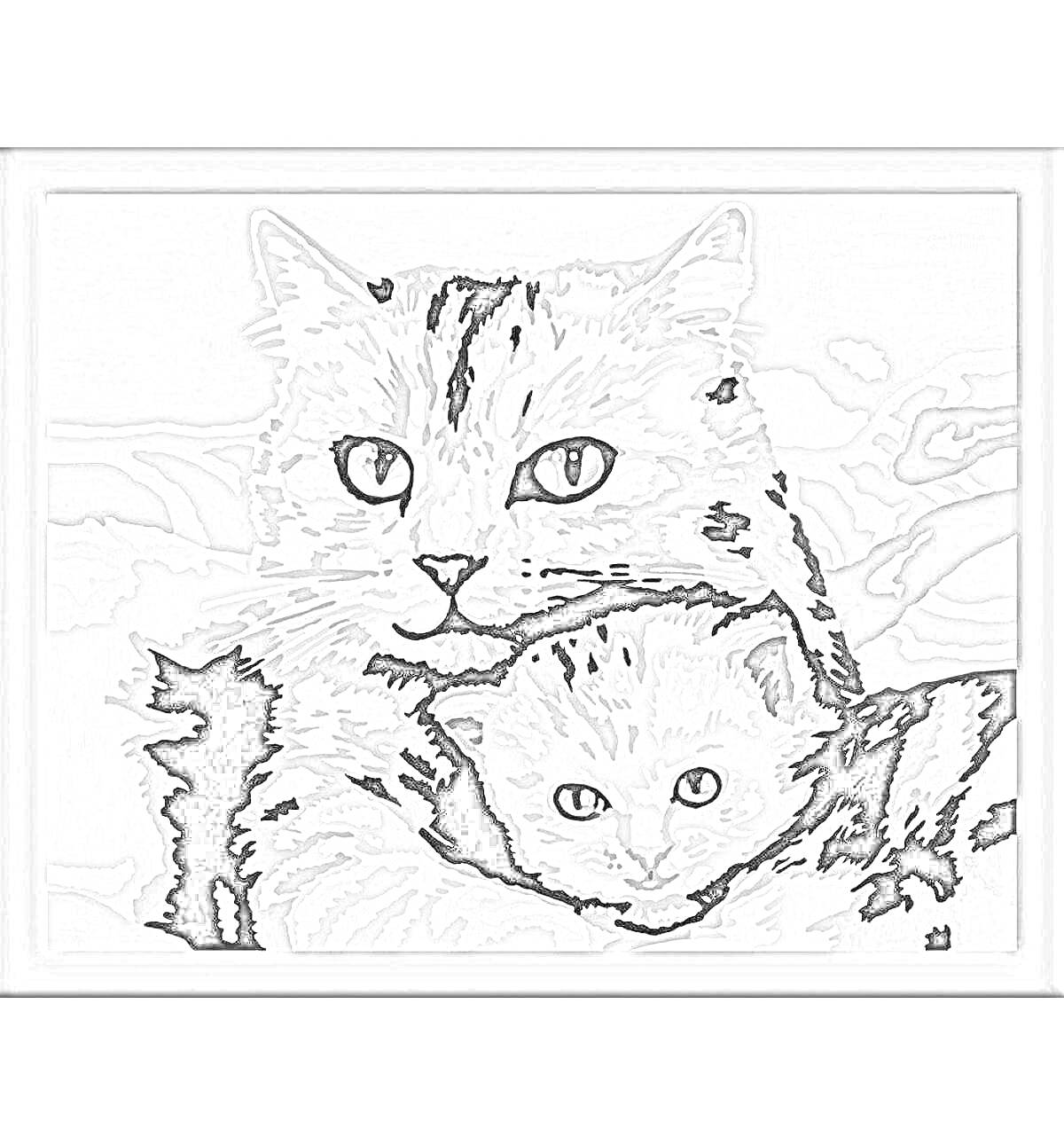 Раскраска картина по номерам котенок и взрослая кошка в обнимку