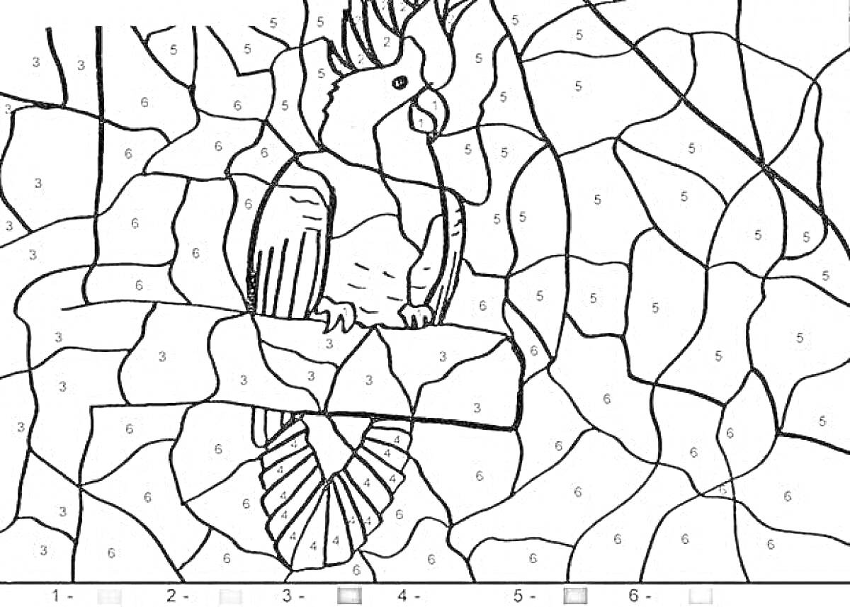 Раскраска Раскраска по номерам с изображением попугая на ветке