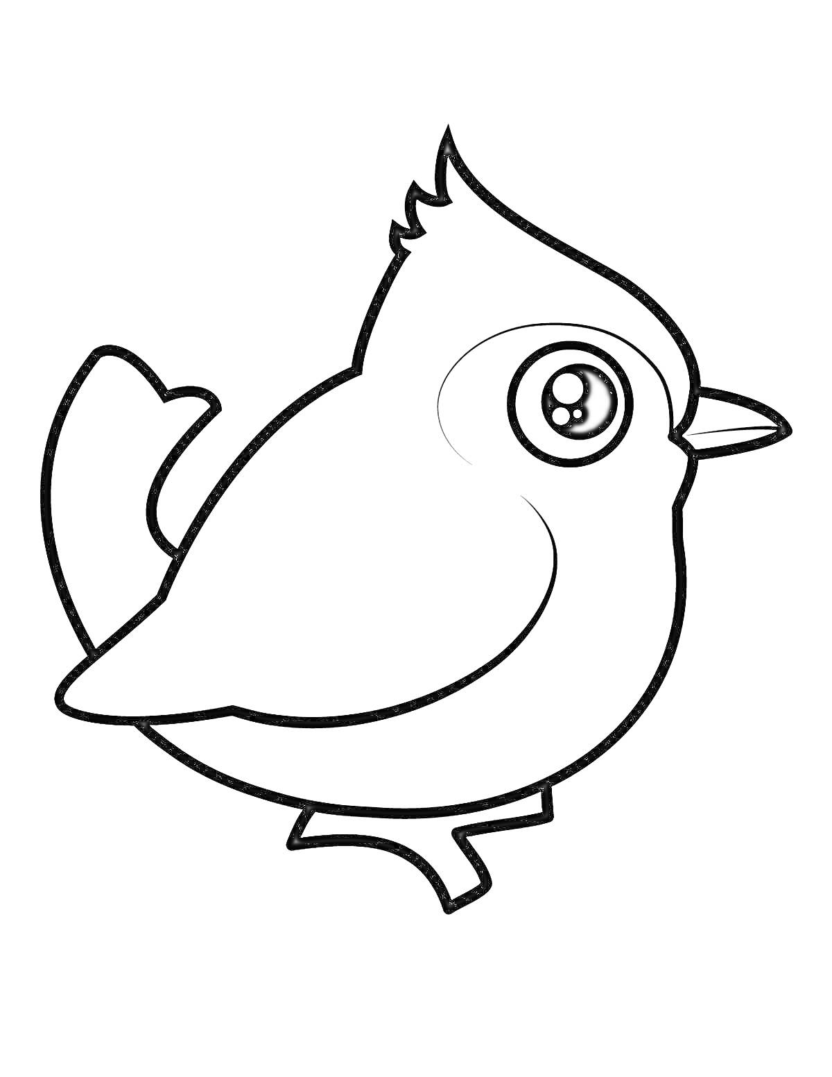 Раскраска Птичка с большими глазами и хохолком на голове
