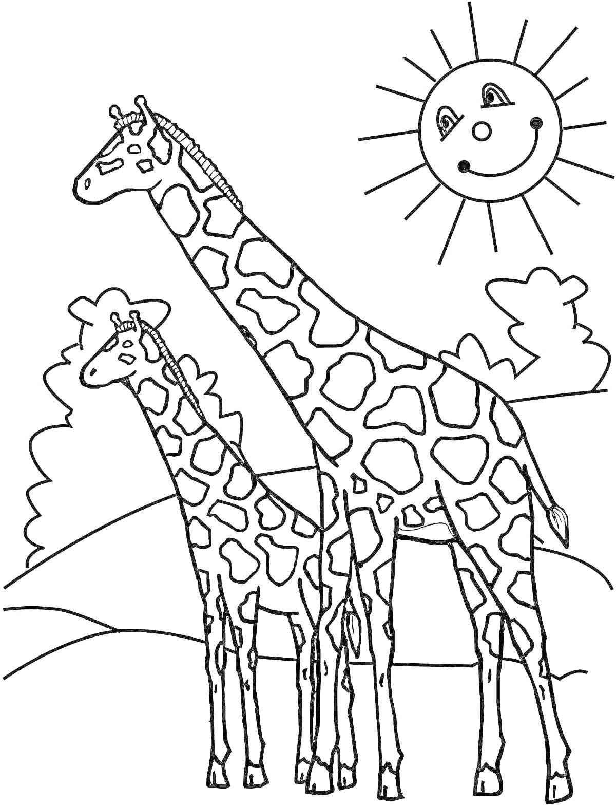 На раскраске изображено: Жирафы, Солнце, Деревья, Африка, Природа