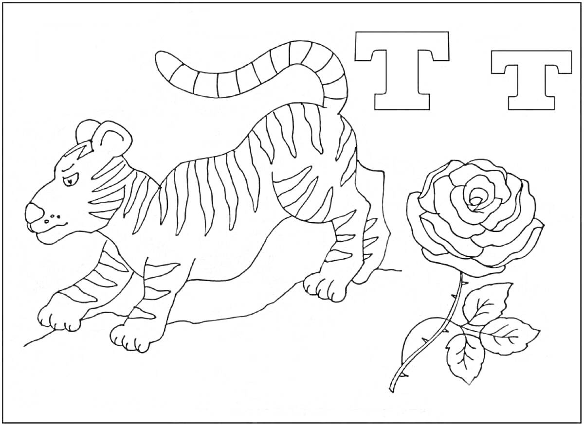 На раскраске изображено: Буква Т, Тигр, Обучение, Алфавит