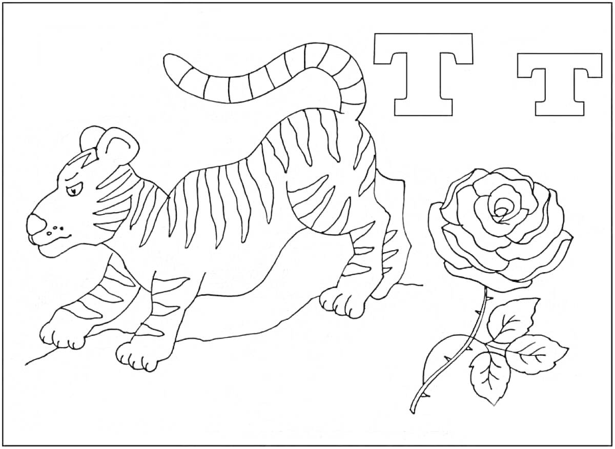 Раскраска Раскраска с буквой Т, тигром и цветком