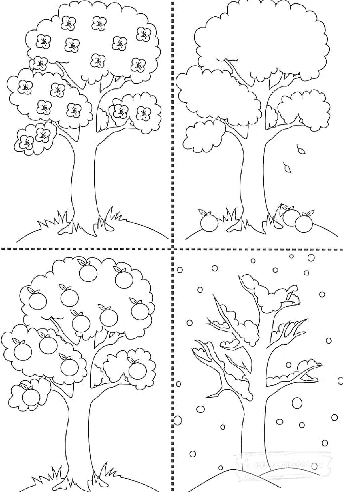 Раскраска Дерево в разные времена года - весна с цветами, лето с зелеными листьями и опавшими фруктами, осень с яблоками, зима с голыми ветками и снежинками