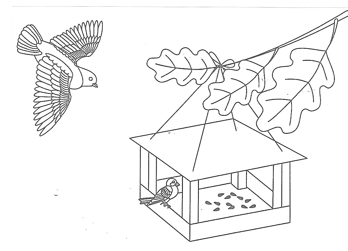 На раскраске изображено: Птица, Кормушка, Листья