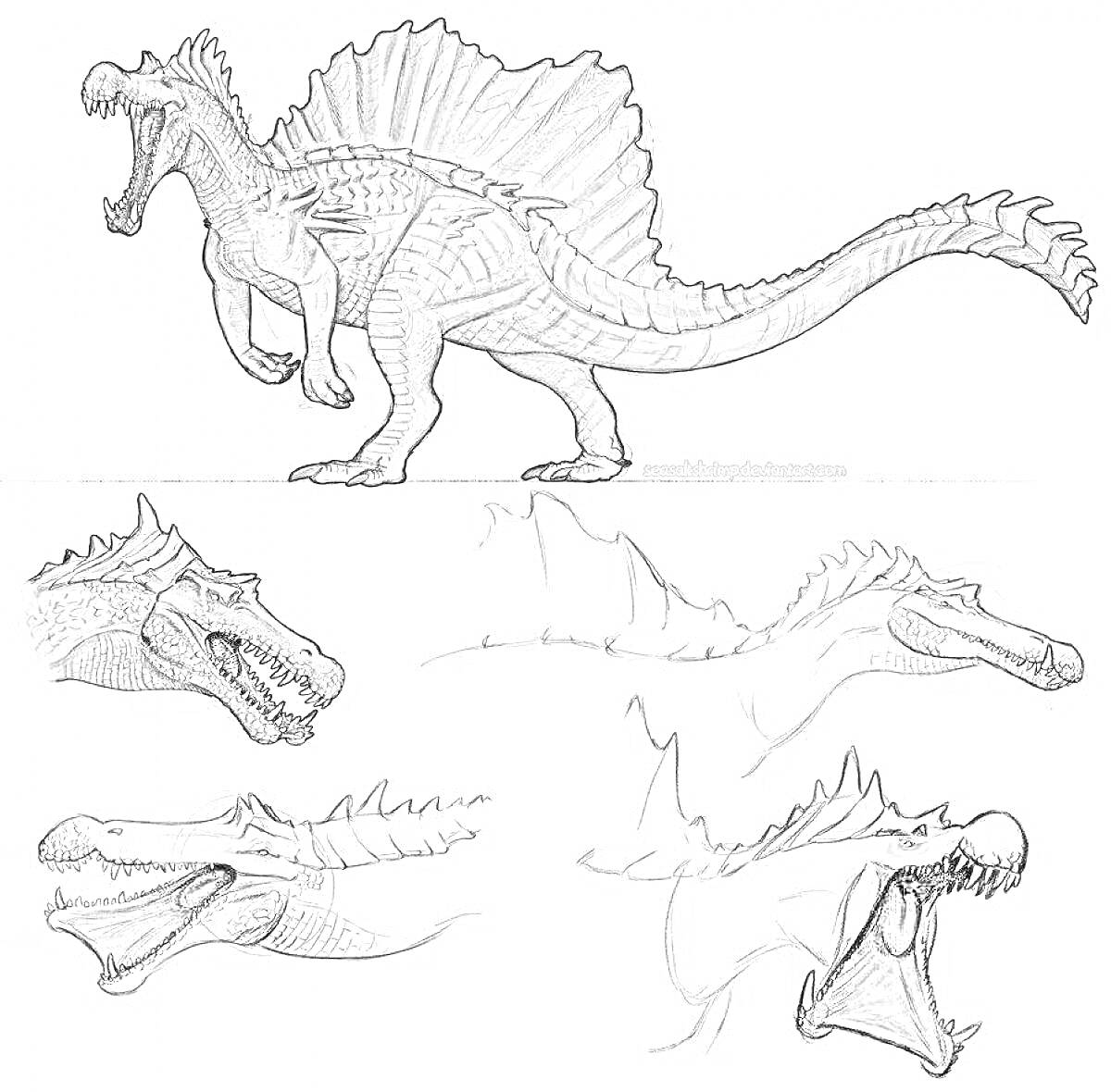 Раскраска Динозавр с парусом на спине и наброски головы