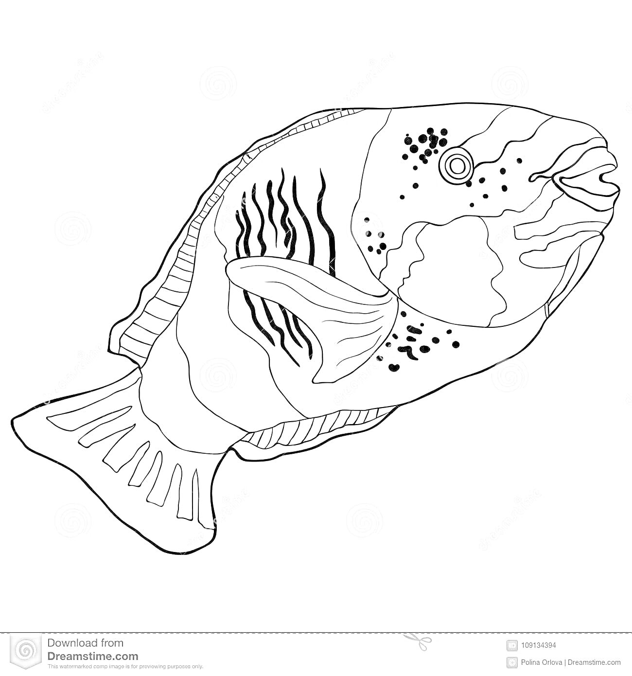 Раскраска Раскраска рыбы-попугая на белом фоне с деталями линий и точек на теле