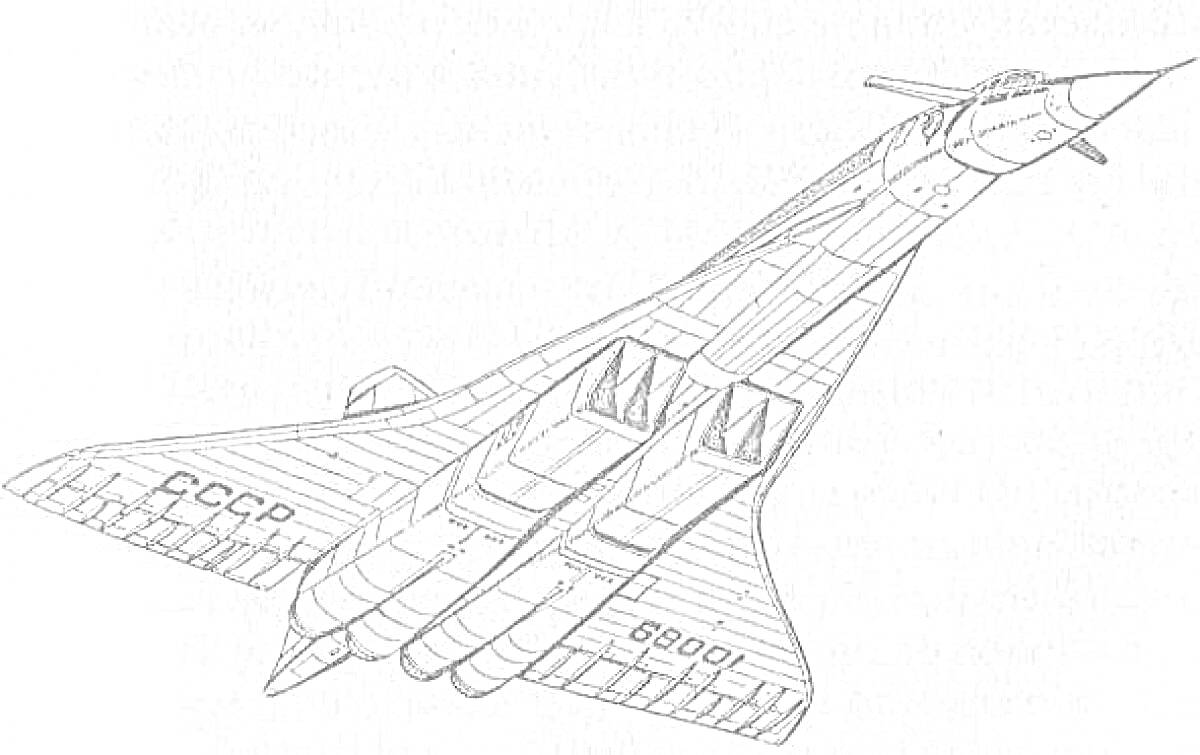 Чертеж Ту-144, вид сверху, надписи на крыле 