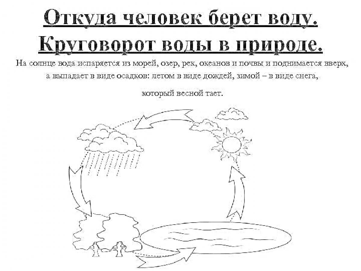 Раскраска Круговорот воды в природе: солнце, испарение с водоемов, дождевые облака, дождь, деревья, озеро