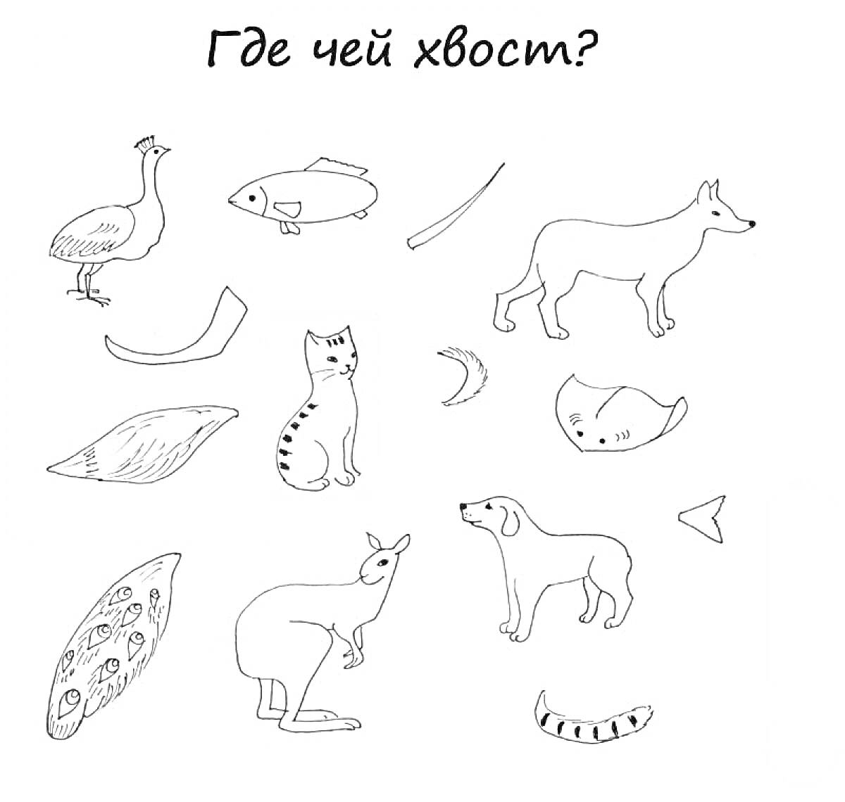 На раскраске изображено: Птица, Рыба, Лиса, Олень, Собака, Павлин