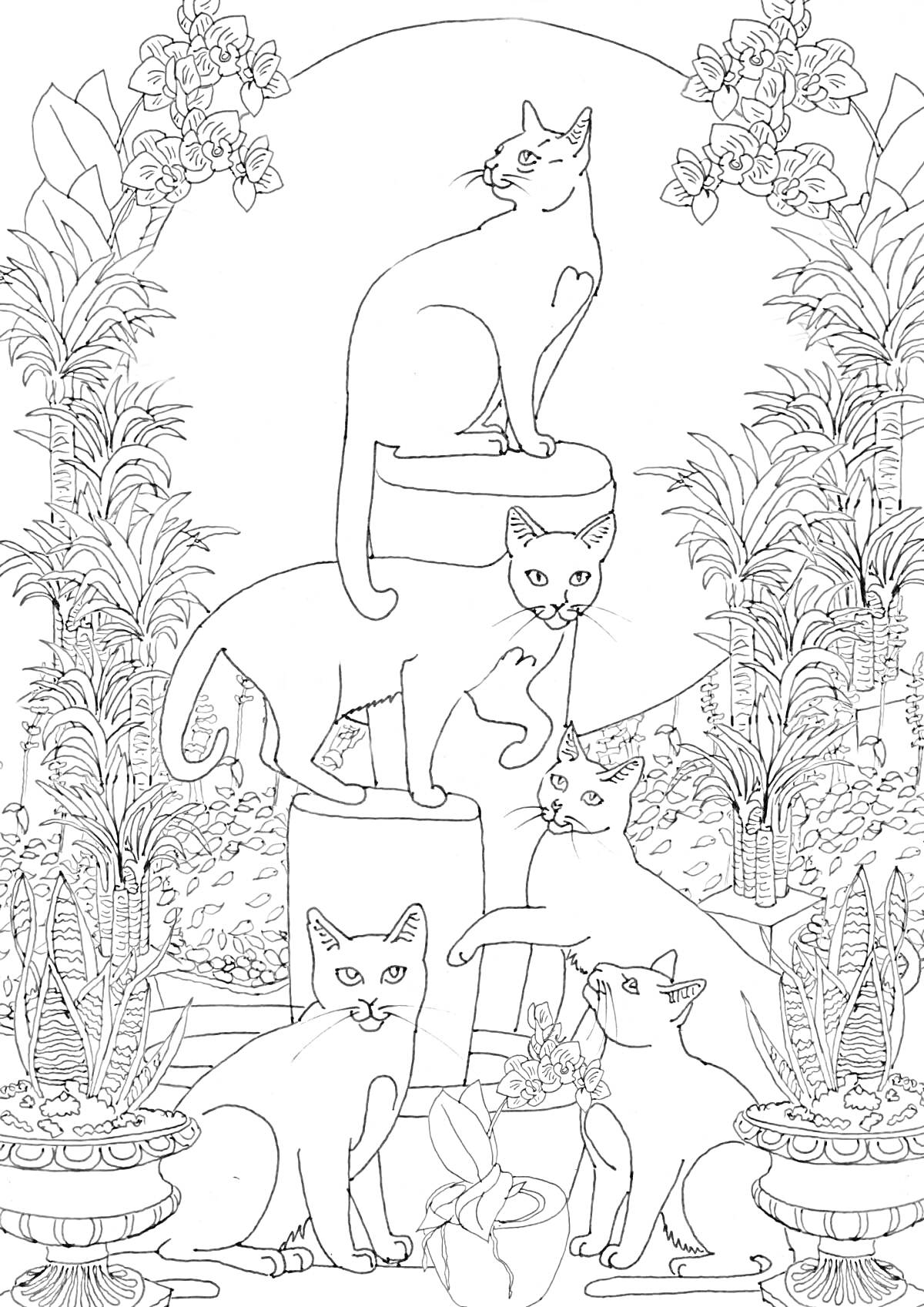 Раскраска Пять кошек, растения, цветы, арка, горшки