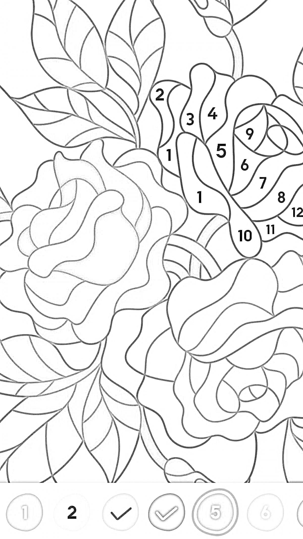 На раскраске изображено: Розы, Цветы, Листья, Цветочный узор, Роскошь, Краски, Хэппи колор