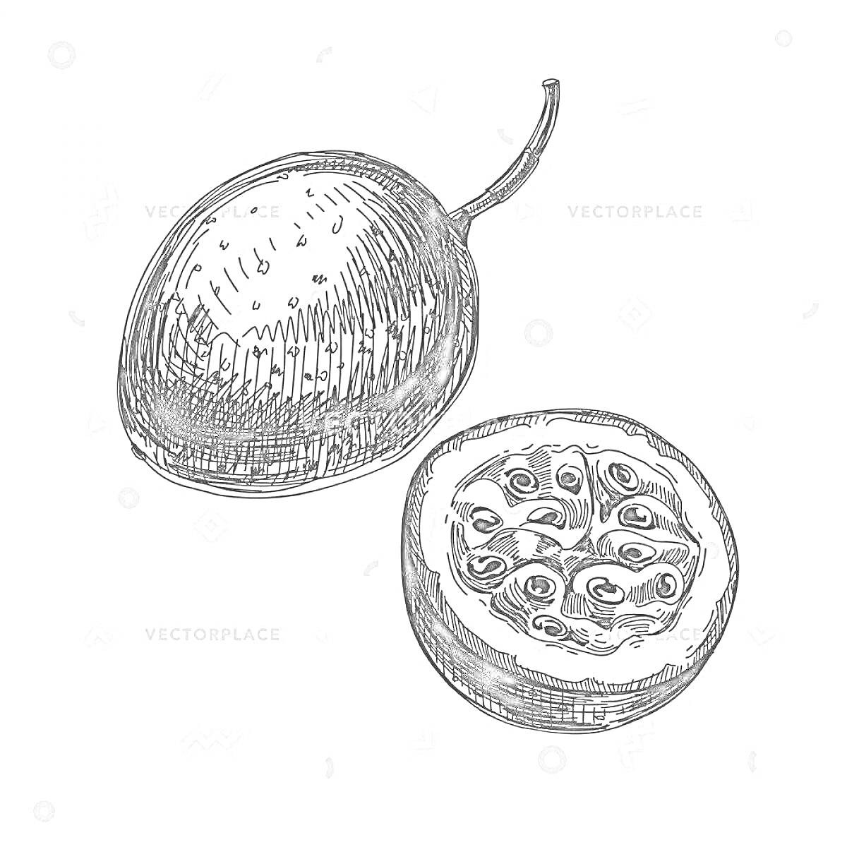 Раскраска маракуйя - один целый фрукт и один разрезанный пополам, семена внутри