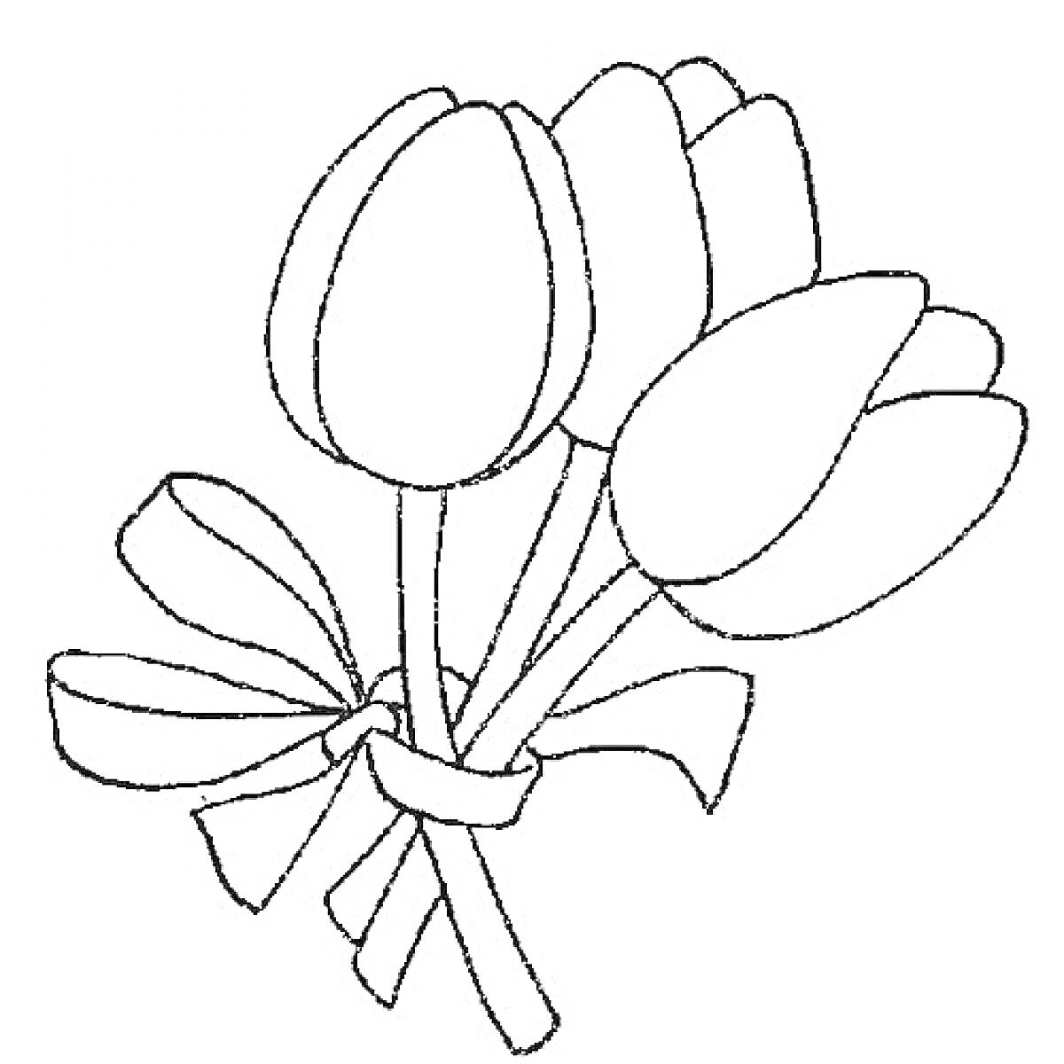 Раскраска Букет тюльпанов с лентой