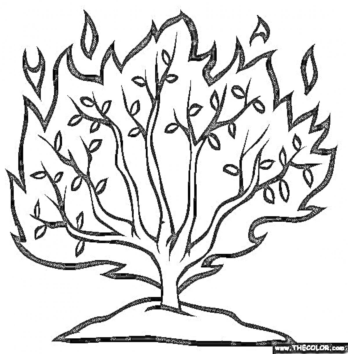На раскраске изображено: Листья, Пламя, Природа, Растения, Контурные рисунки, Кусты