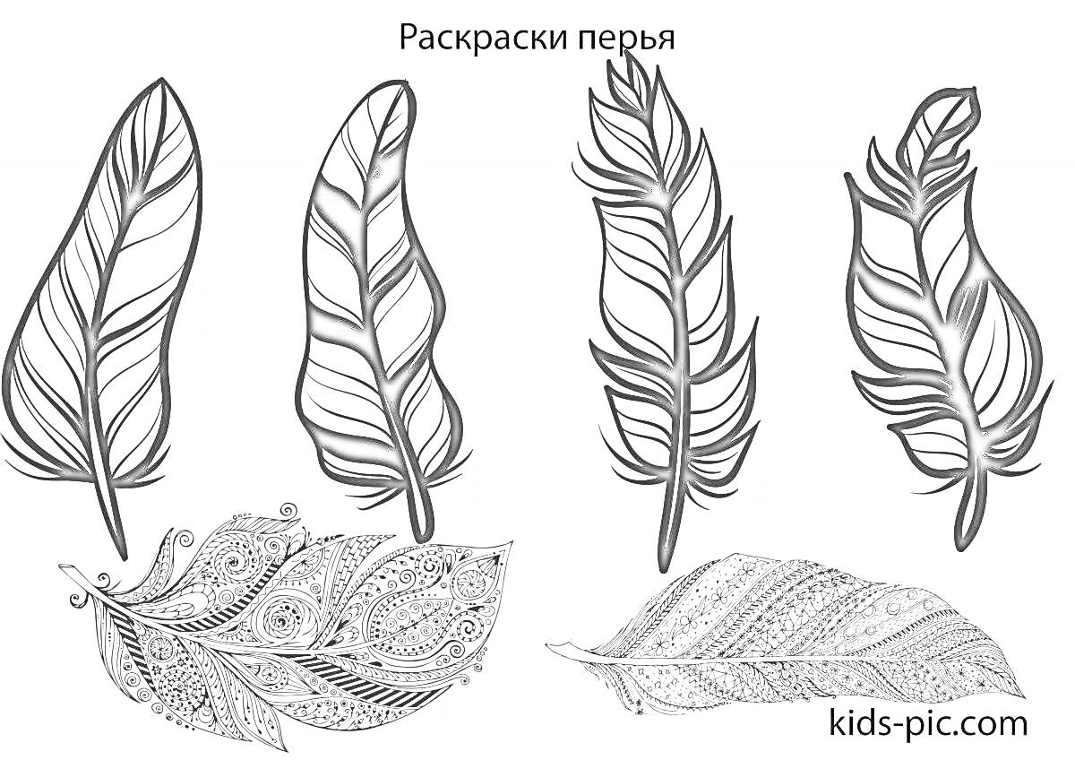 Раскраска Раскраски перьев: четыре черно-белых пера стоя, два черно-белых пера лежа с узорами