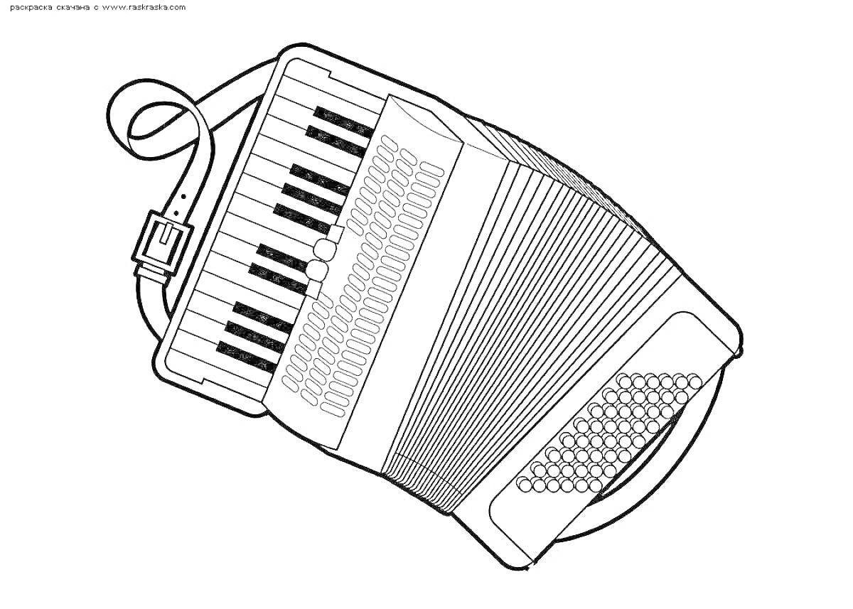 Раскраска Гармонь со струной и клавиатурой, кнопочными и механическими клапанами и ремнем