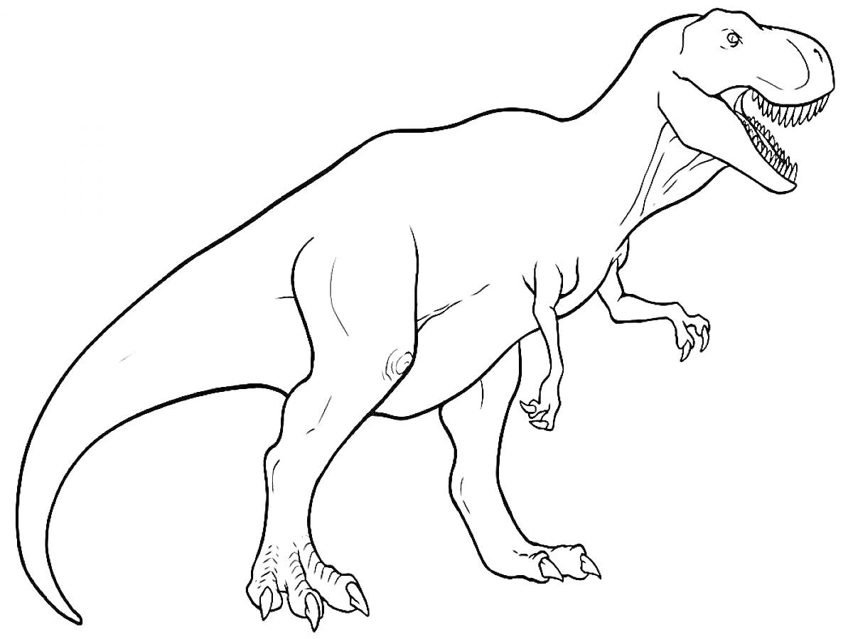 На раскраске изображено: Динозавр, Тираннозавр Рекс, Открытая пасть, Контурные рисунки, Древние животные