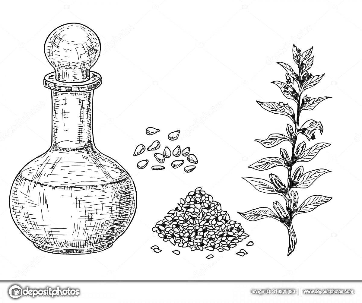 На раскраске изображено: Растительное масло, Бутылка, Масло, Иллюстрация, Гравюра