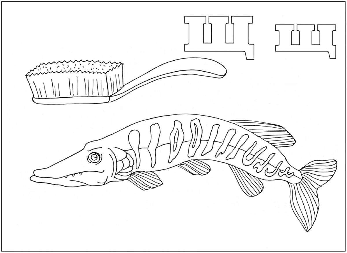 На раскраске изображено: Буква Щ, Щетка, Щука, Алфавит, Рыба