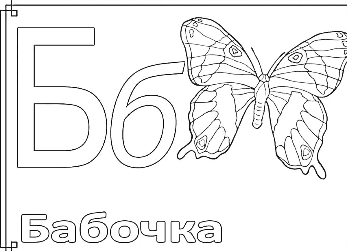 Раскраска Буква Б, бабочка