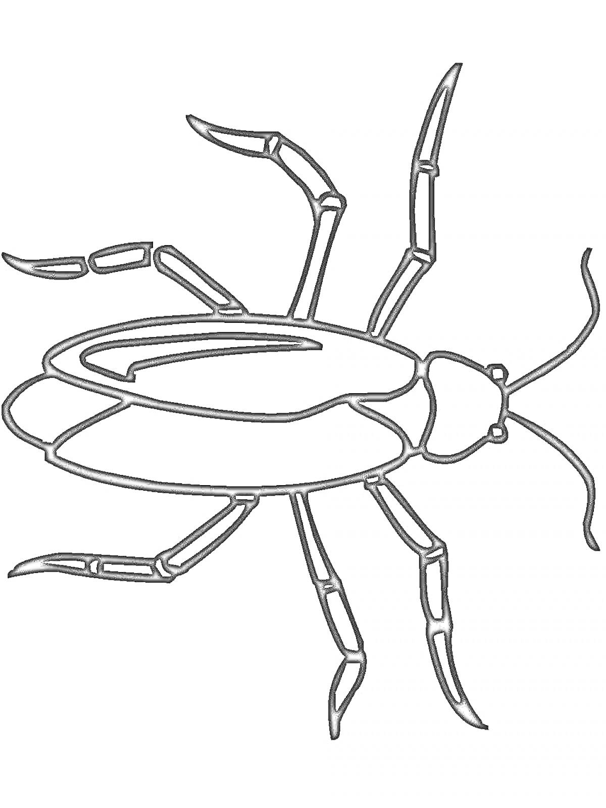 Раскраска Жук с шестью лапками