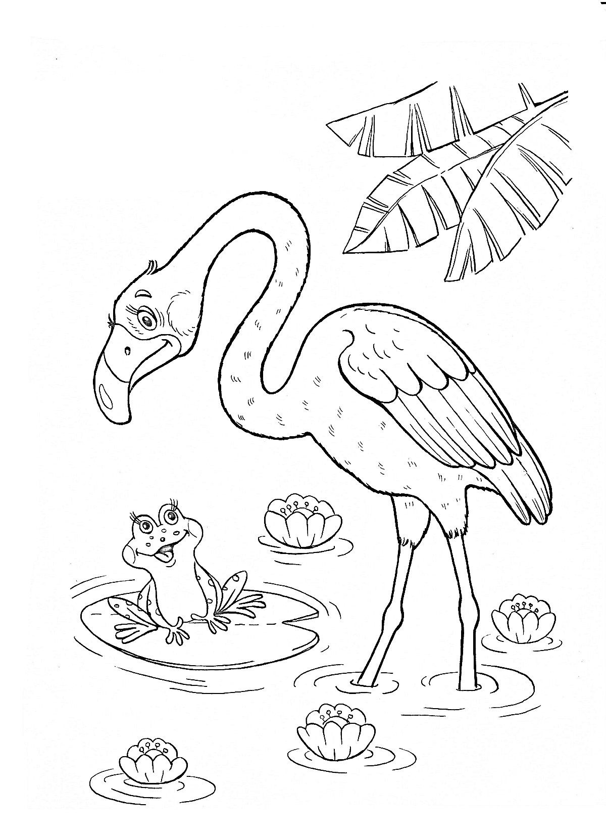 Раскраска Фламинго, лягушка на кувшинке и водные лилии