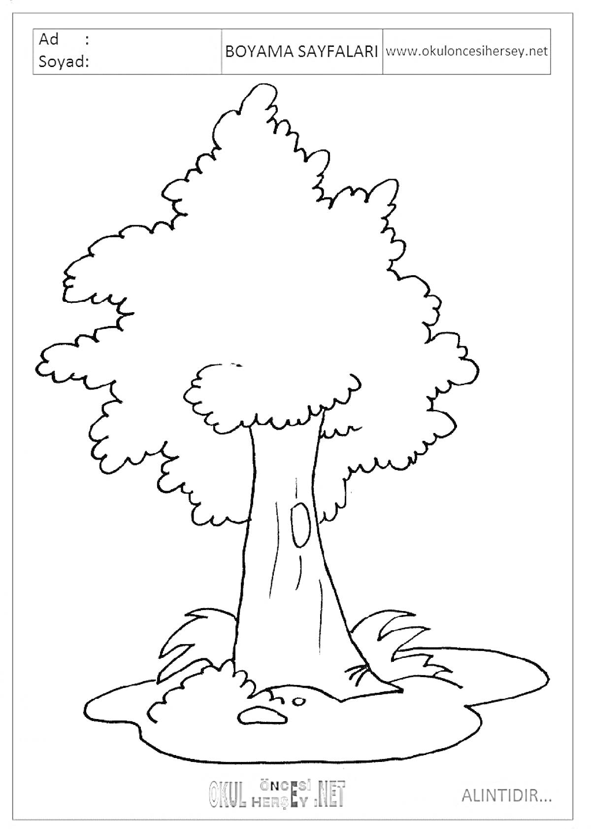 На раскраске изображено: Трава, Природа, Для детей, 3 года, 4 года, Цветение, Листья, Деревья