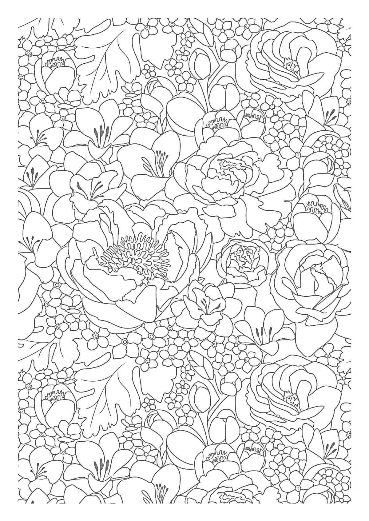 На раскраске изображено: Цветы, Растения, Антистресс, Ботаника, Мандала, Флора