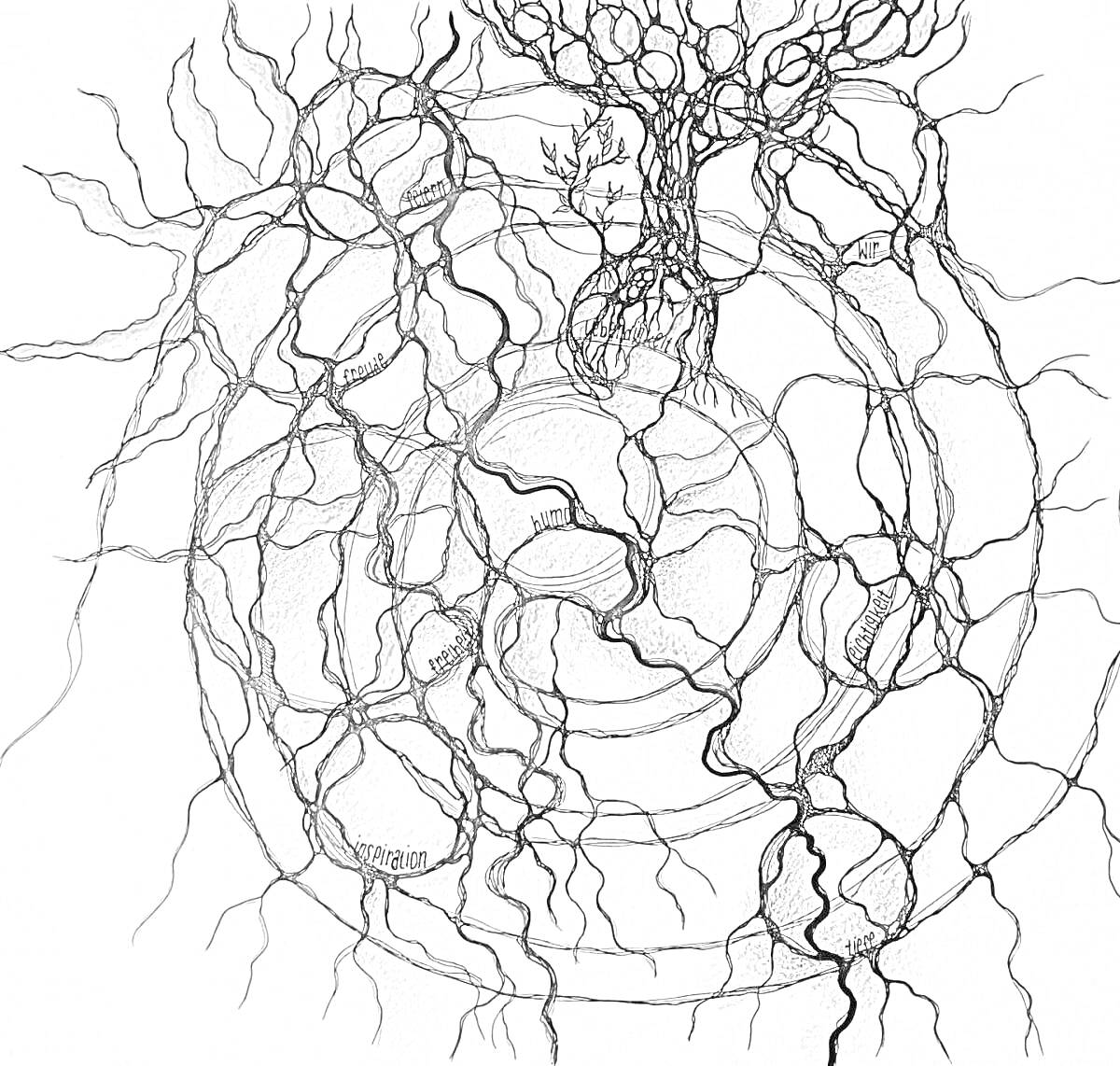 Раскраска Нейрографика с абстрактными кругами и разветвленными линиями