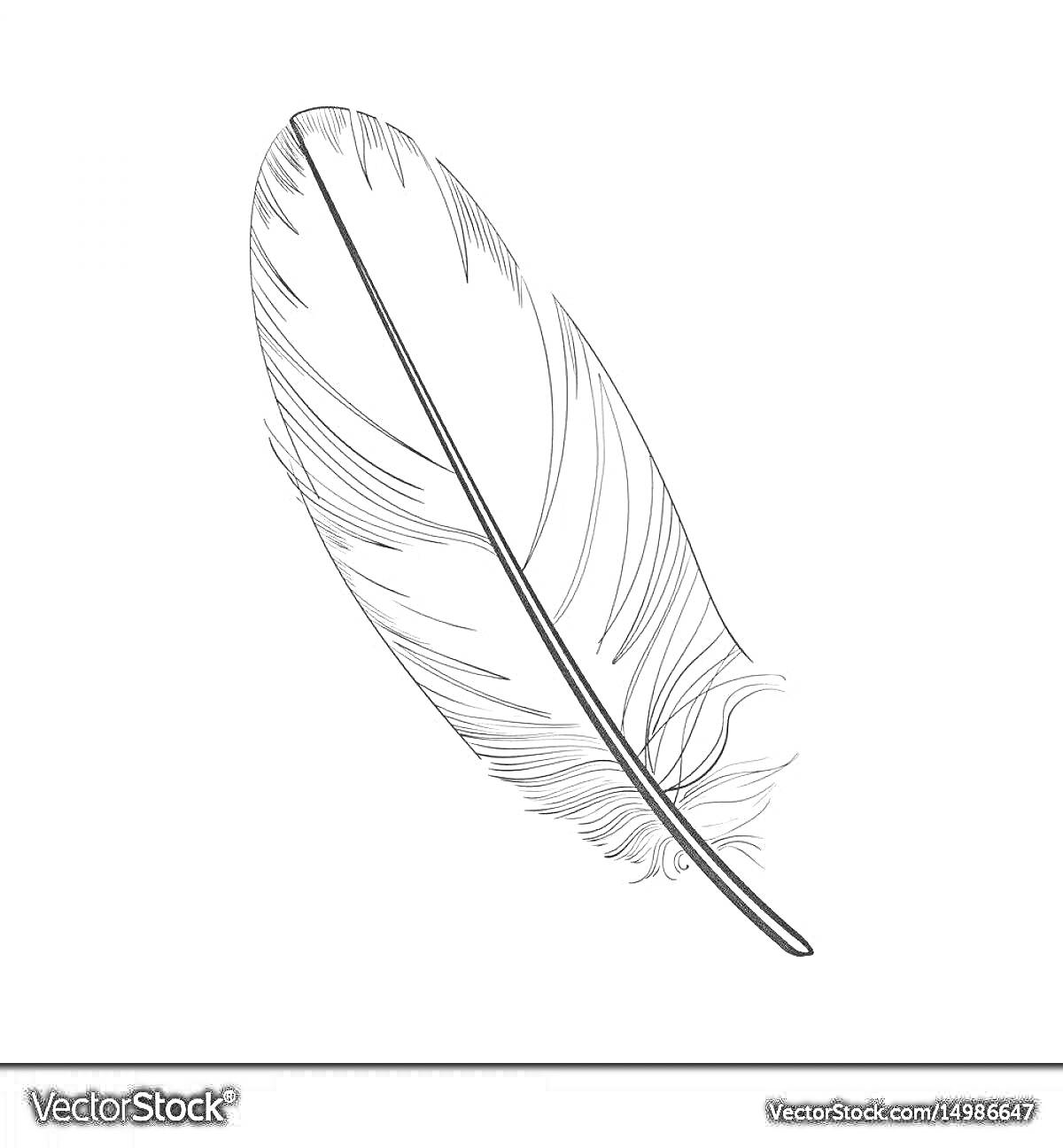 На раскраске изображено: Арт