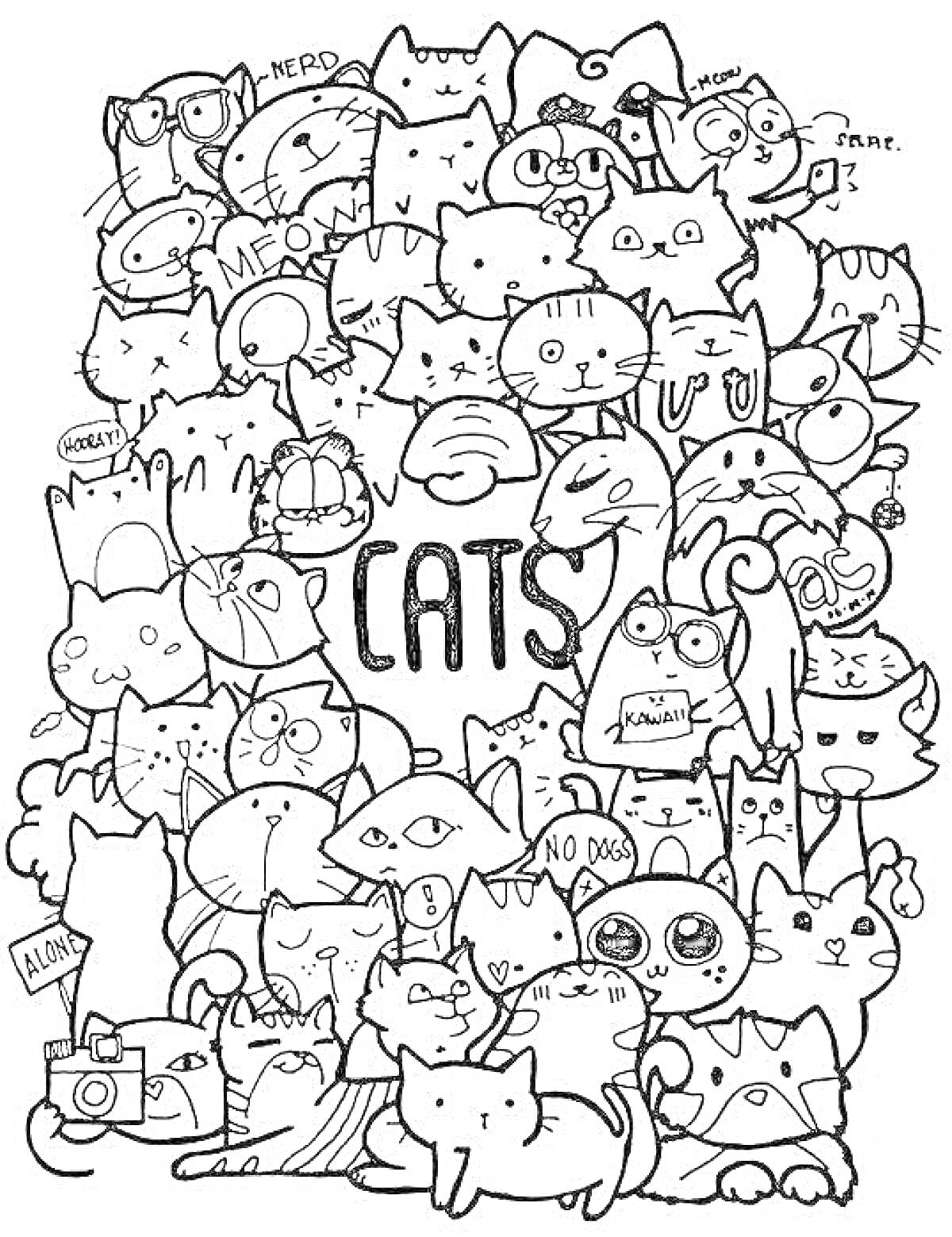 Раскраска Коты с различными выражениями и аксессуарами, с надписью 