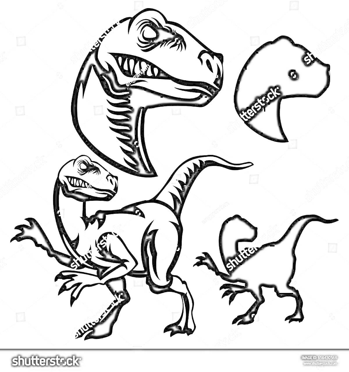 На раскраске изображено: Раптор, Динозавр, Велоцираптор