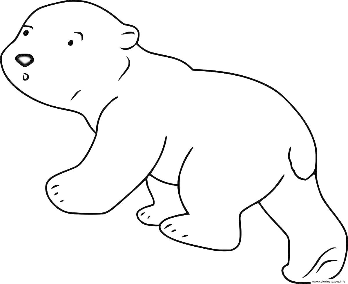 На раскраске изображено: Белый медведь, Медведь, Арктика, Для детей, Животные