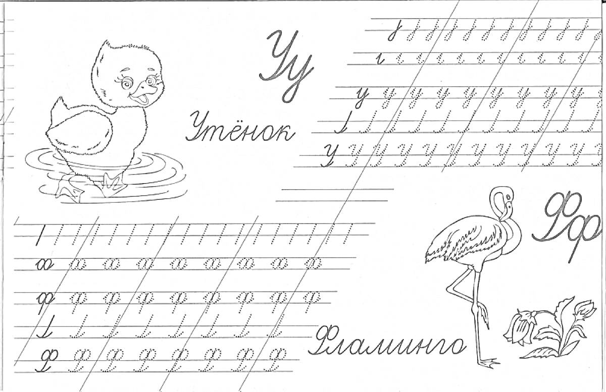 Раскраска Буквы Уу и Фф, утёнок и фламинго