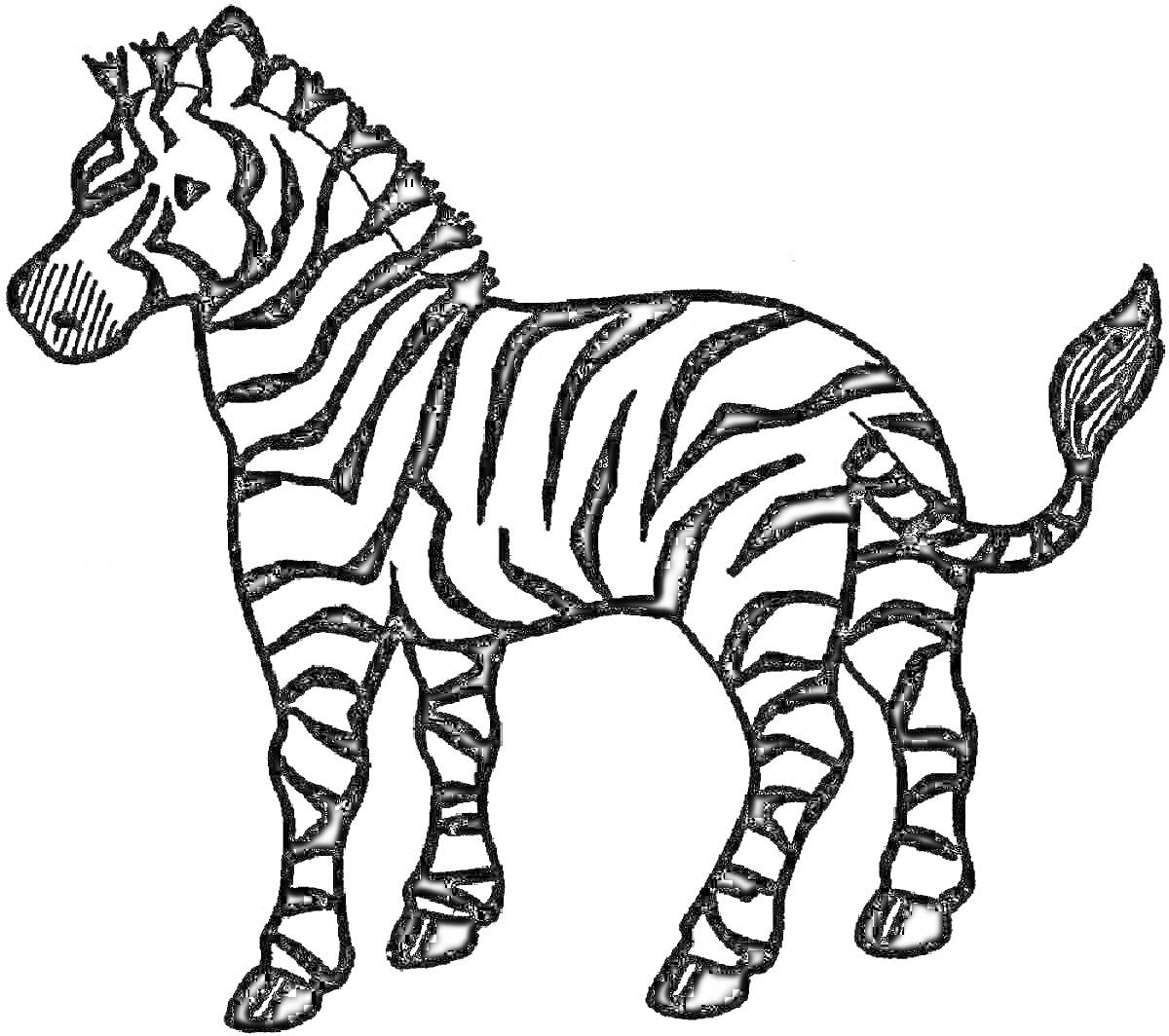 Раскраска зебра, стоящая в профиль